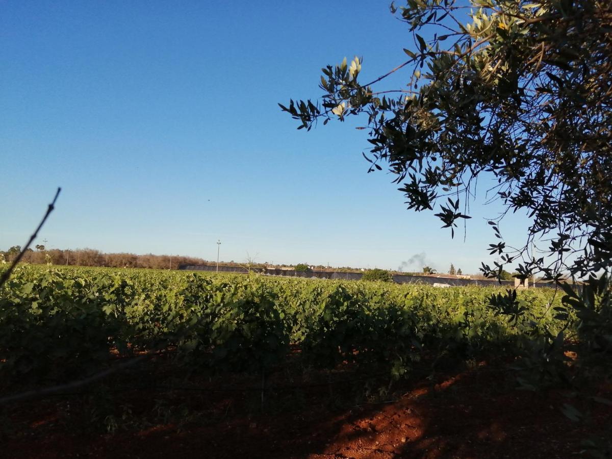 Tenuta Perruzzi