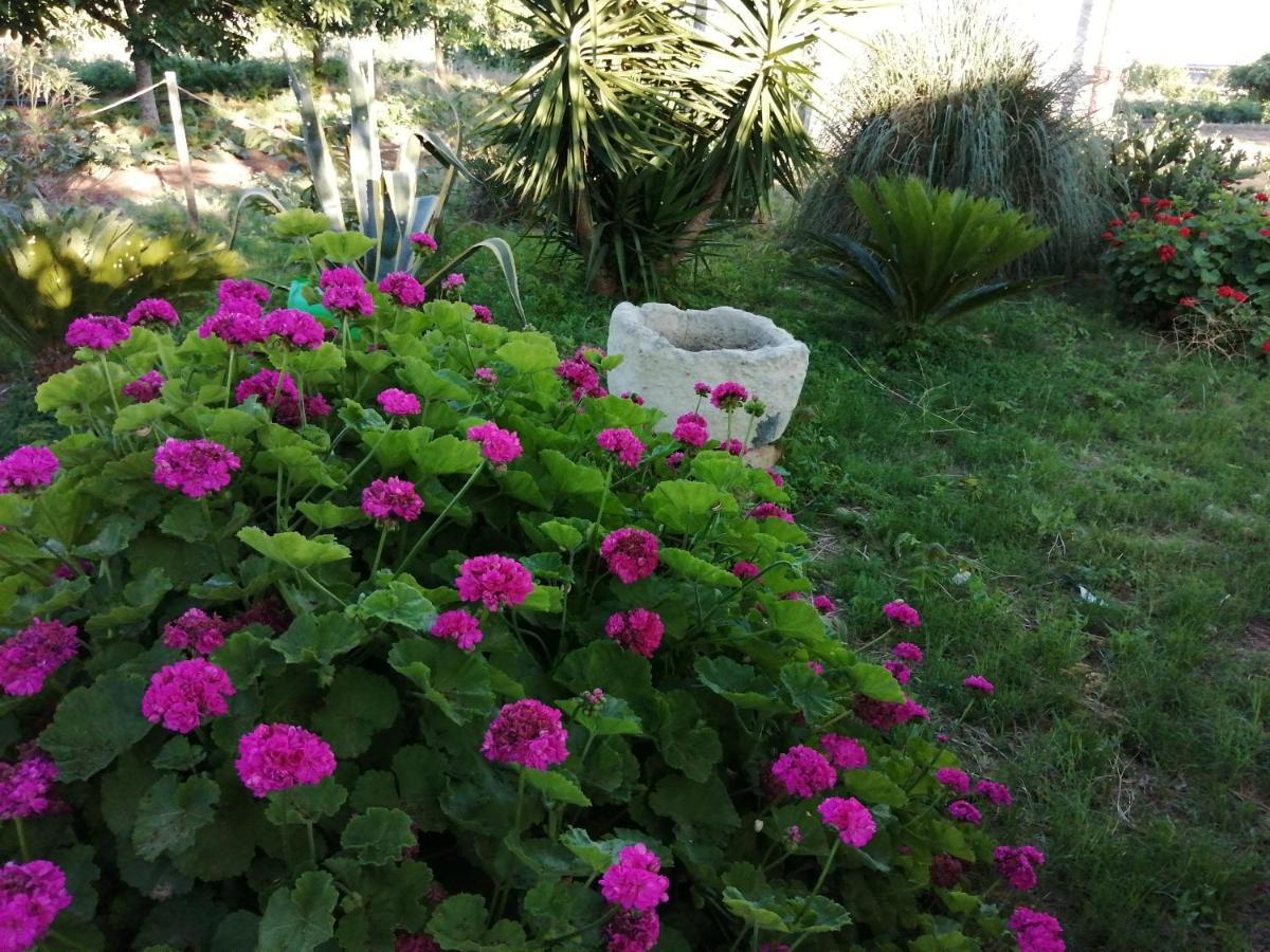 Tenuta Perruzzi Farm stay Leverano