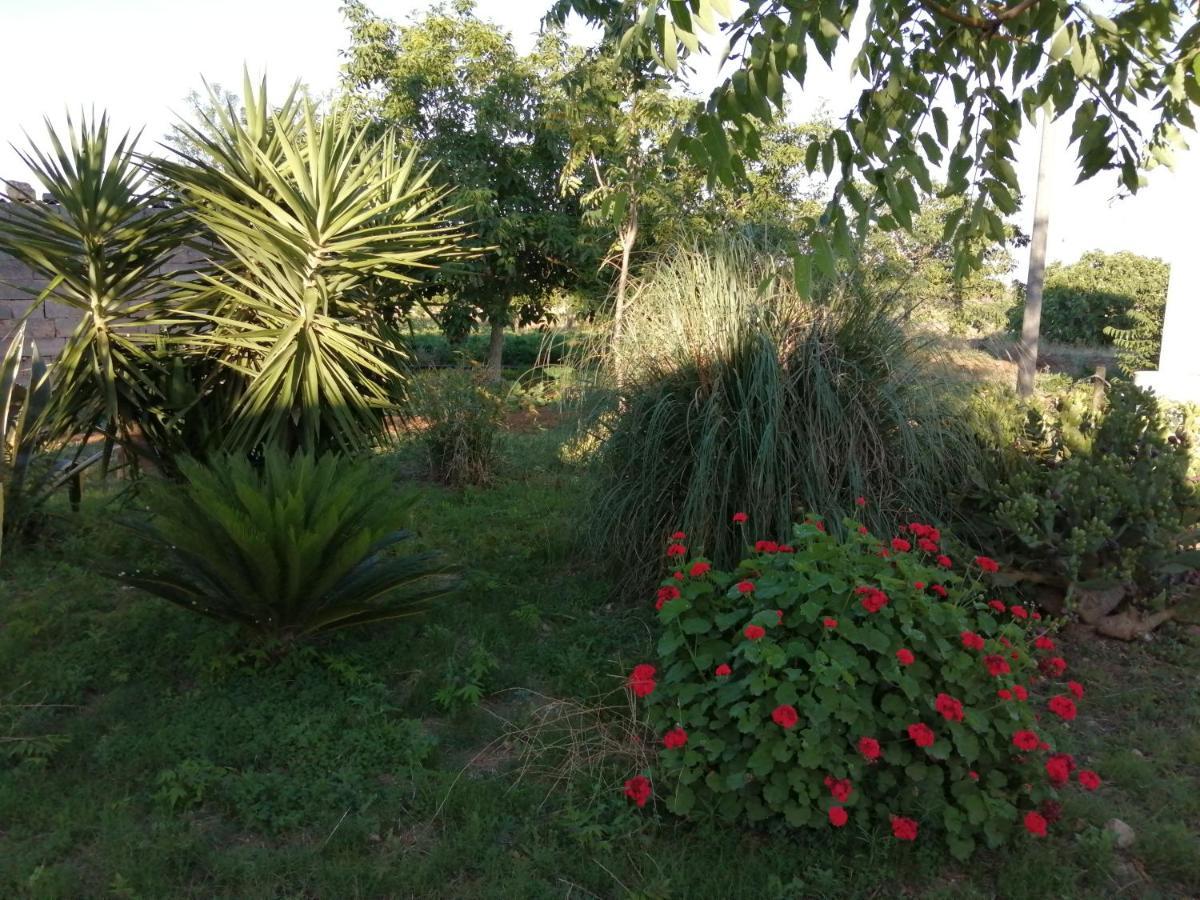 Agriturismo Tenuta Perruzzi