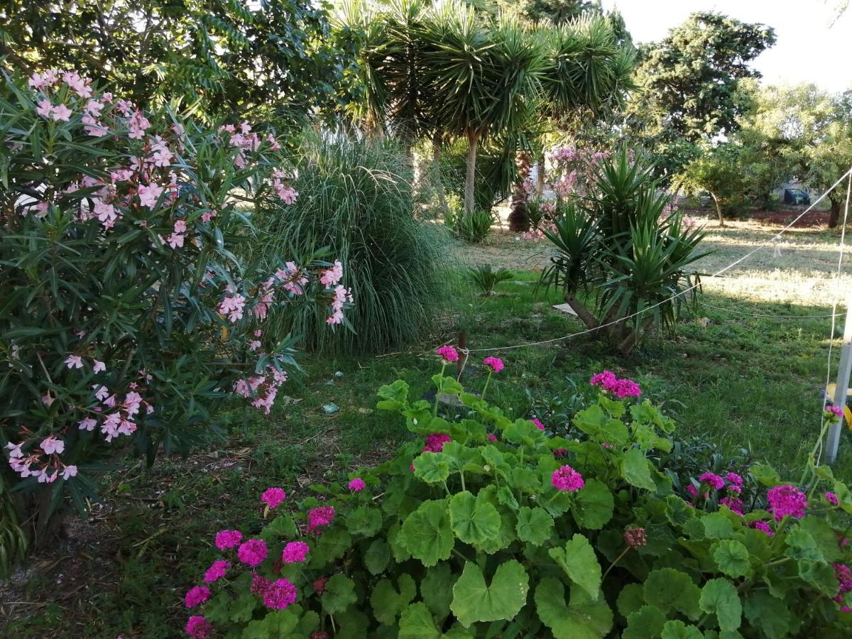 Tenuta Perruzzi Farm stay